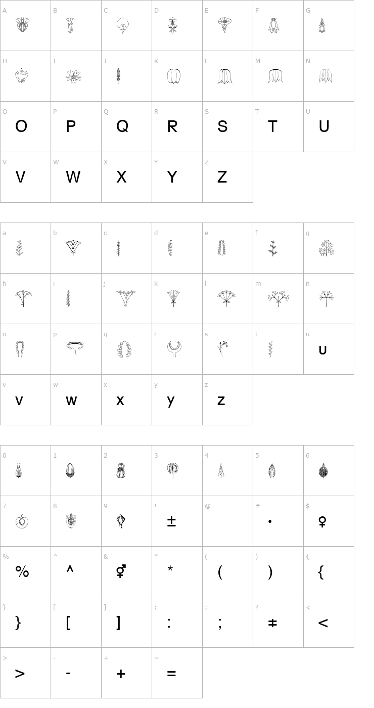 Character Map BioFlower Becker Font