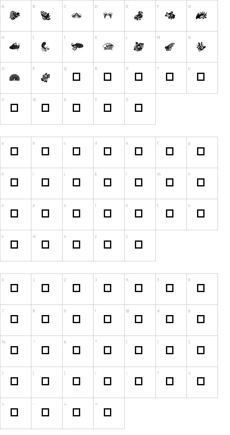 Character Map DLBirdz Font