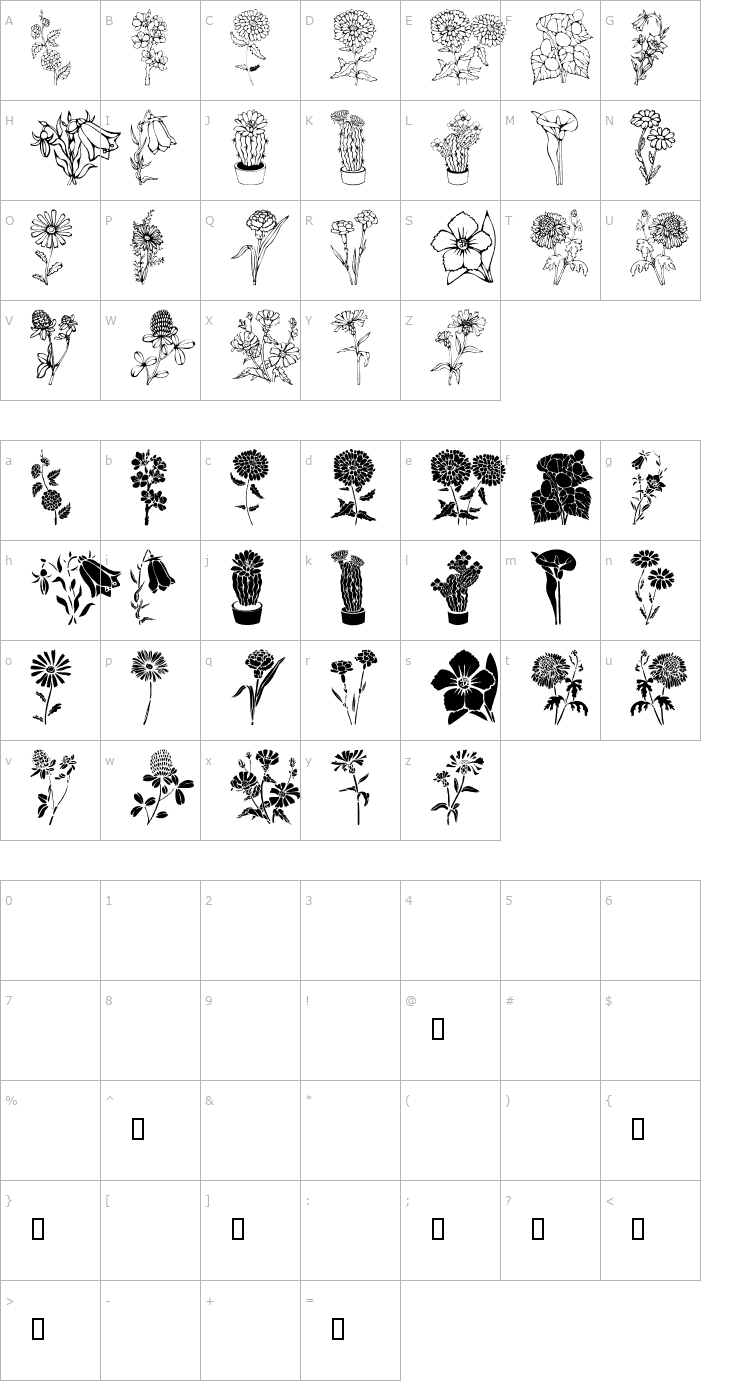 Character Map DT Flowers 1 Font