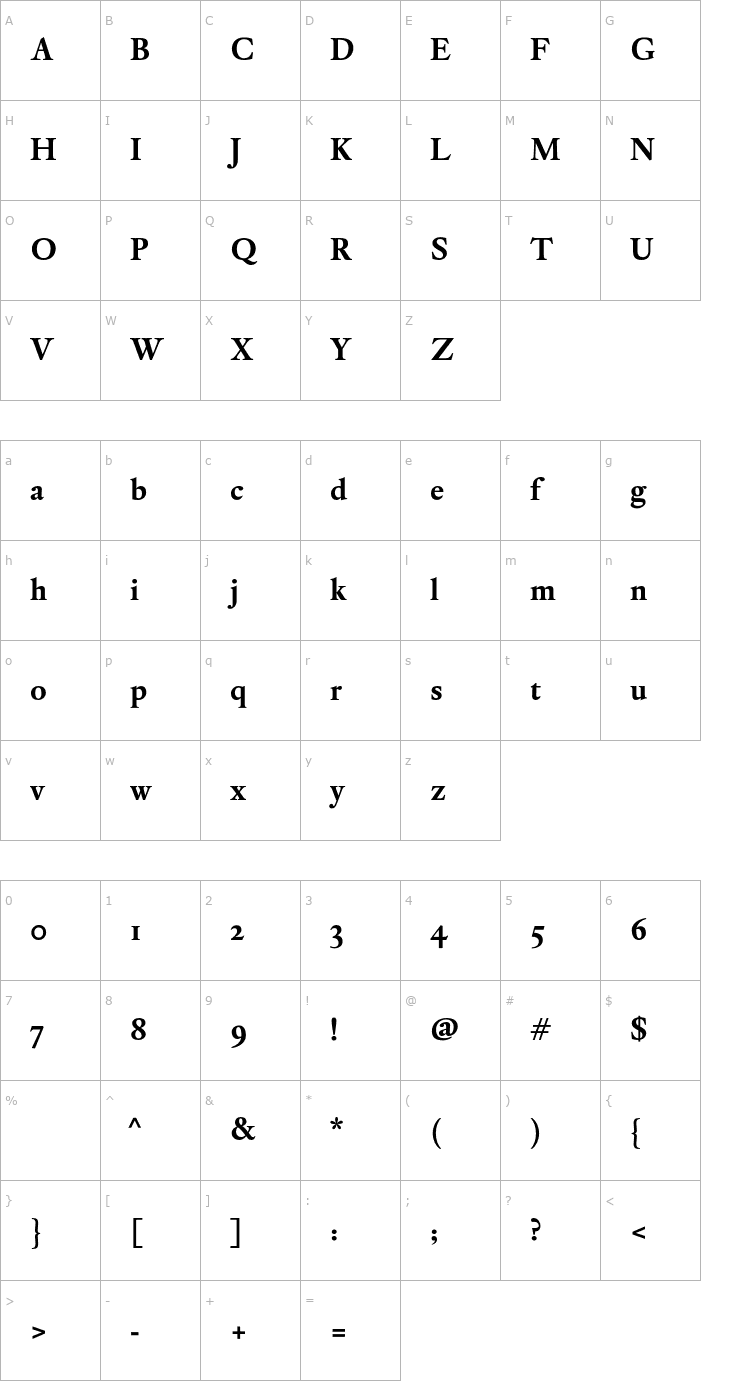 Character Map DTLElzevirST-Bold Font