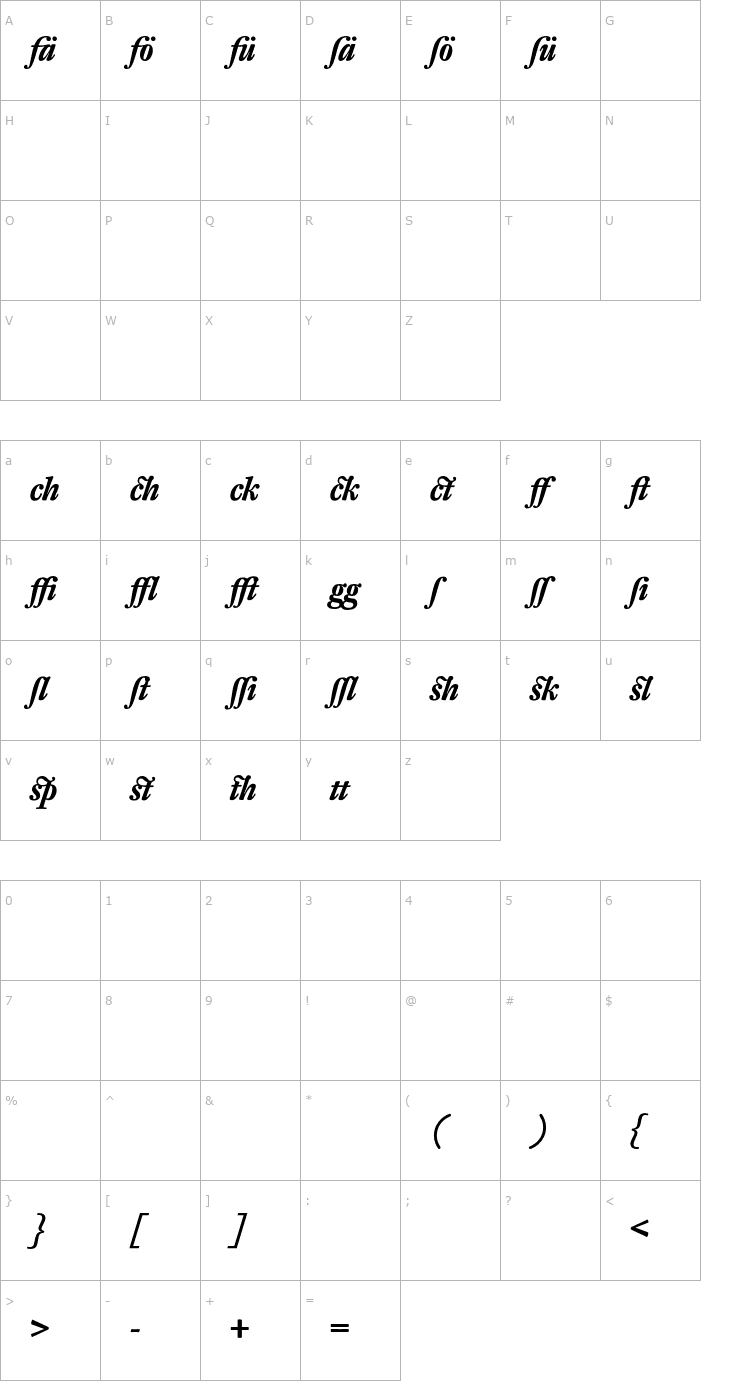 Character Map DTLFleischmannT-AltBoldItalic Font