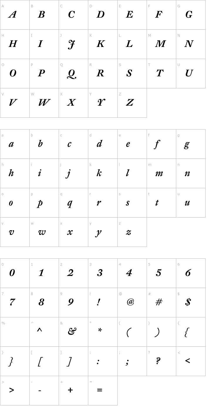 Character Map DTLFleischmannT-MediumItalic Font