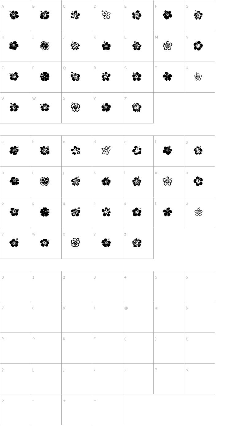Character Map Hibiscus Font