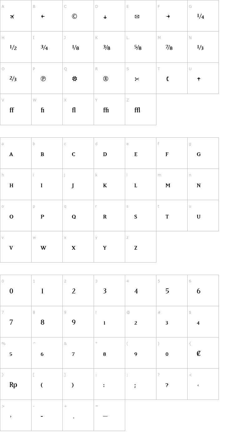 Character Map MatrixRegularFractions Font