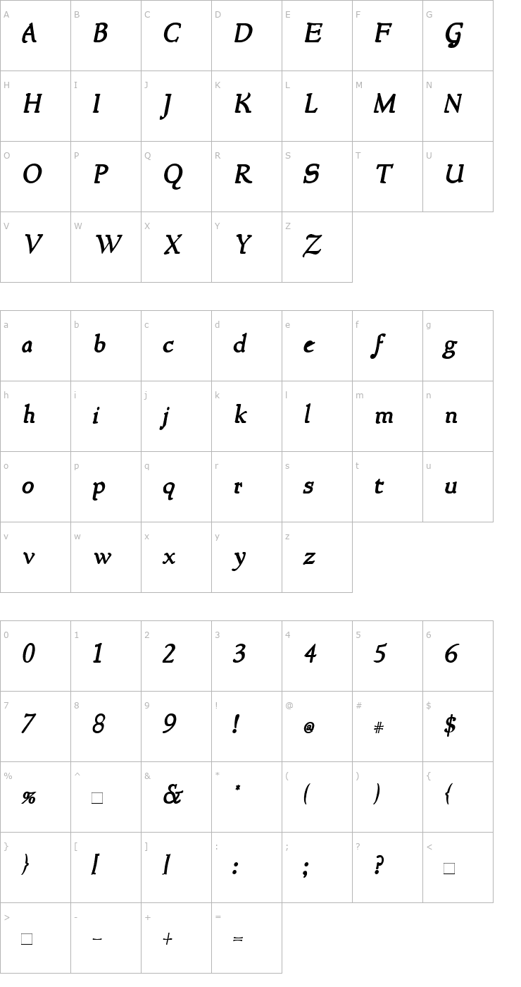 Character Map NewStyle Bold Italic Font