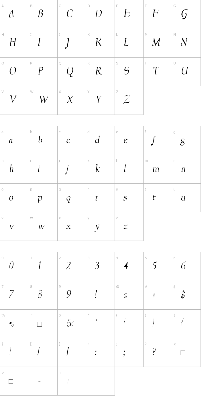 Character Map NewStyleLight Italic Font