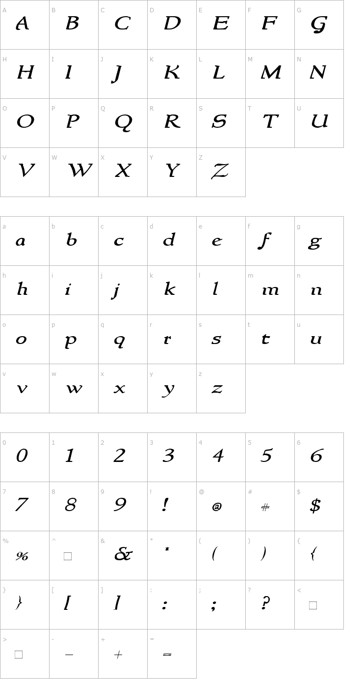 Character Map NewStyleWide Italic Font