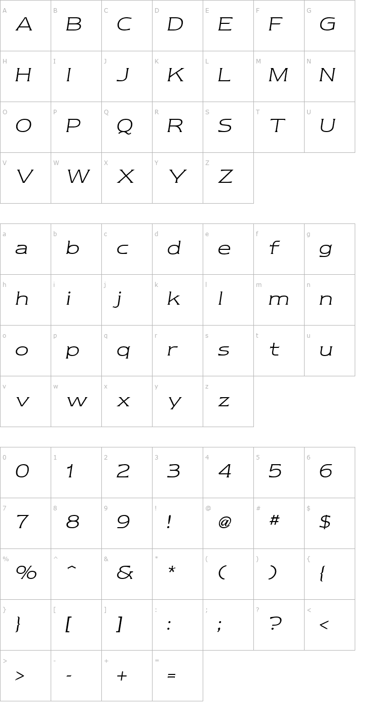 Character Map Newtext Light Italic Font