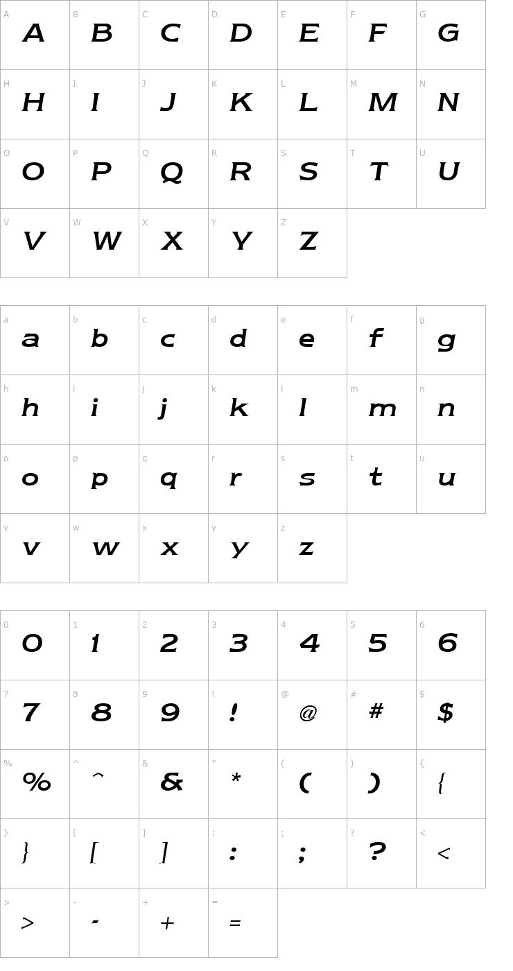 Character Map Newtext Reglr Italic Font