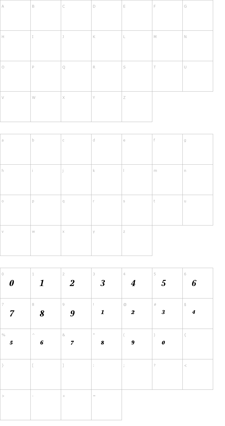 Character Map StonePrint-BoldItalicFracs Font