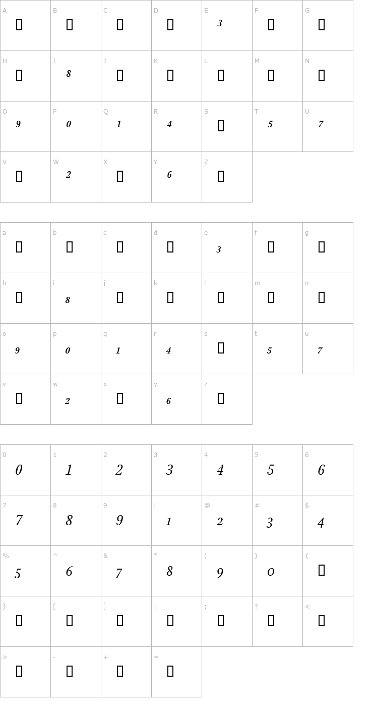 Character Map StonePrintFracs Italic Font