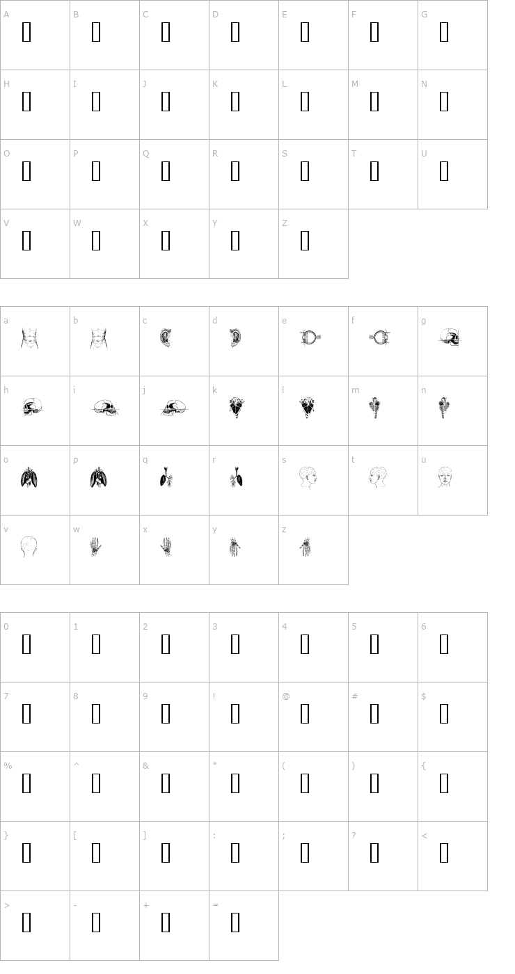 Character Map the body, vol. I Font