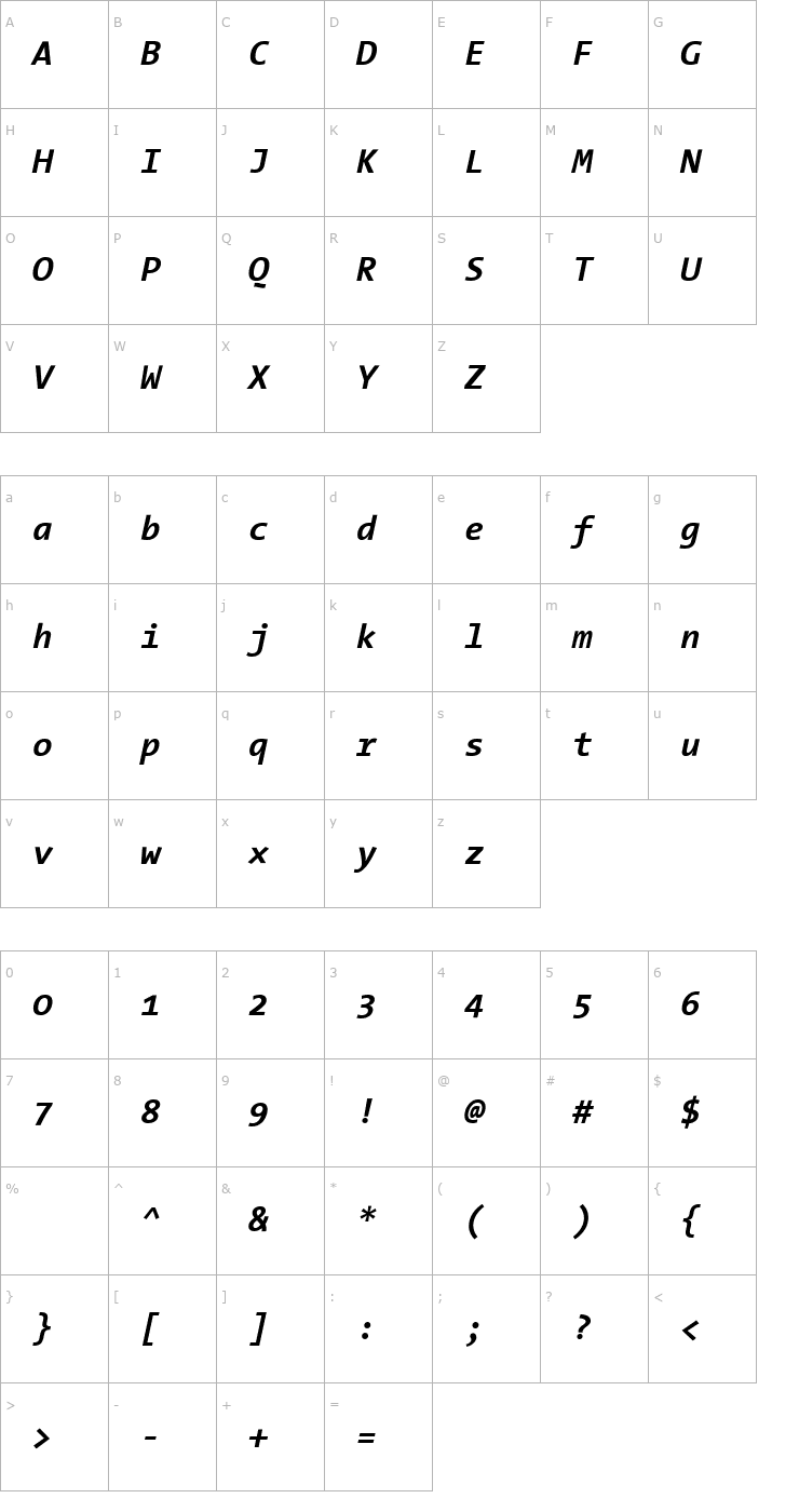 Character Map TheSansMono Bold Italic Font