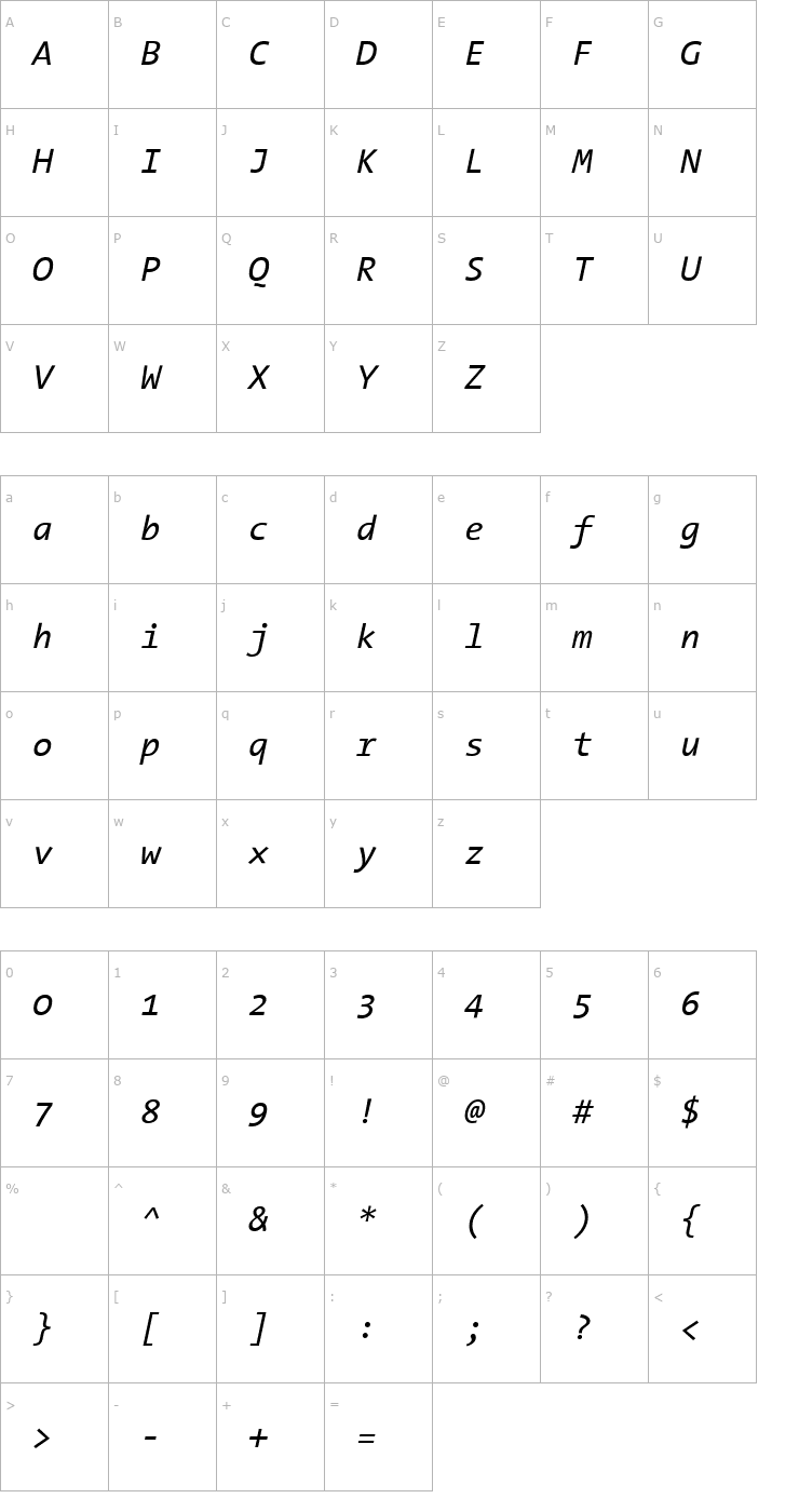 Character Map TheSansMono Italic Font
