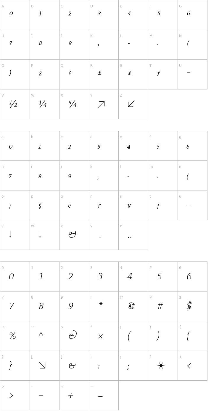 Character Map TheSerif ExtraLight Expert Italic Font