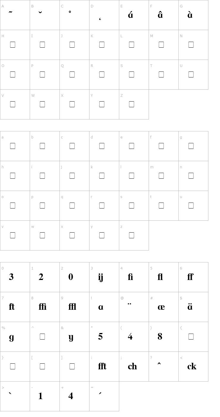 Character Map Times Profi Bold Font