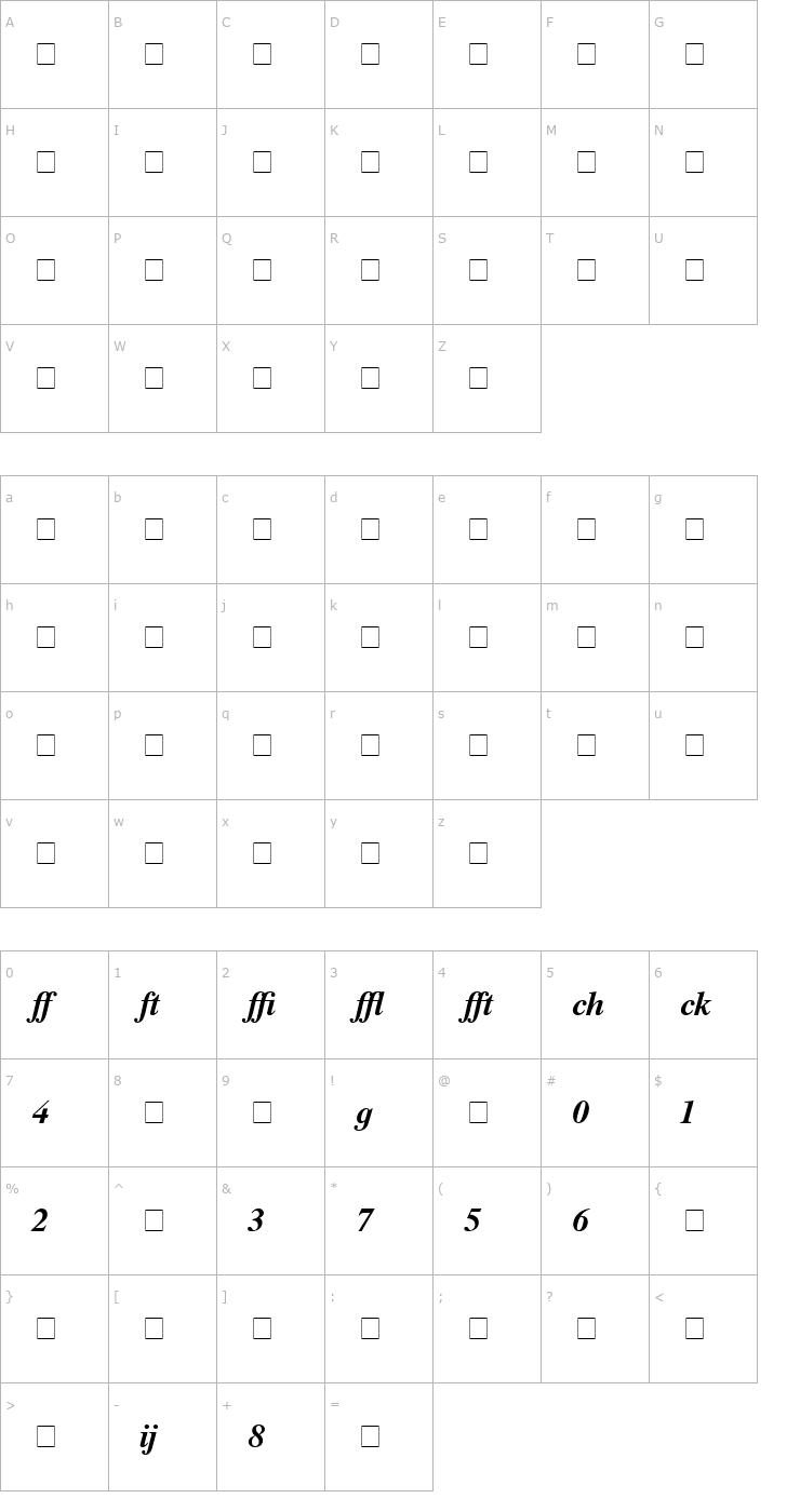Character Map Times Profi Bold Italic Font