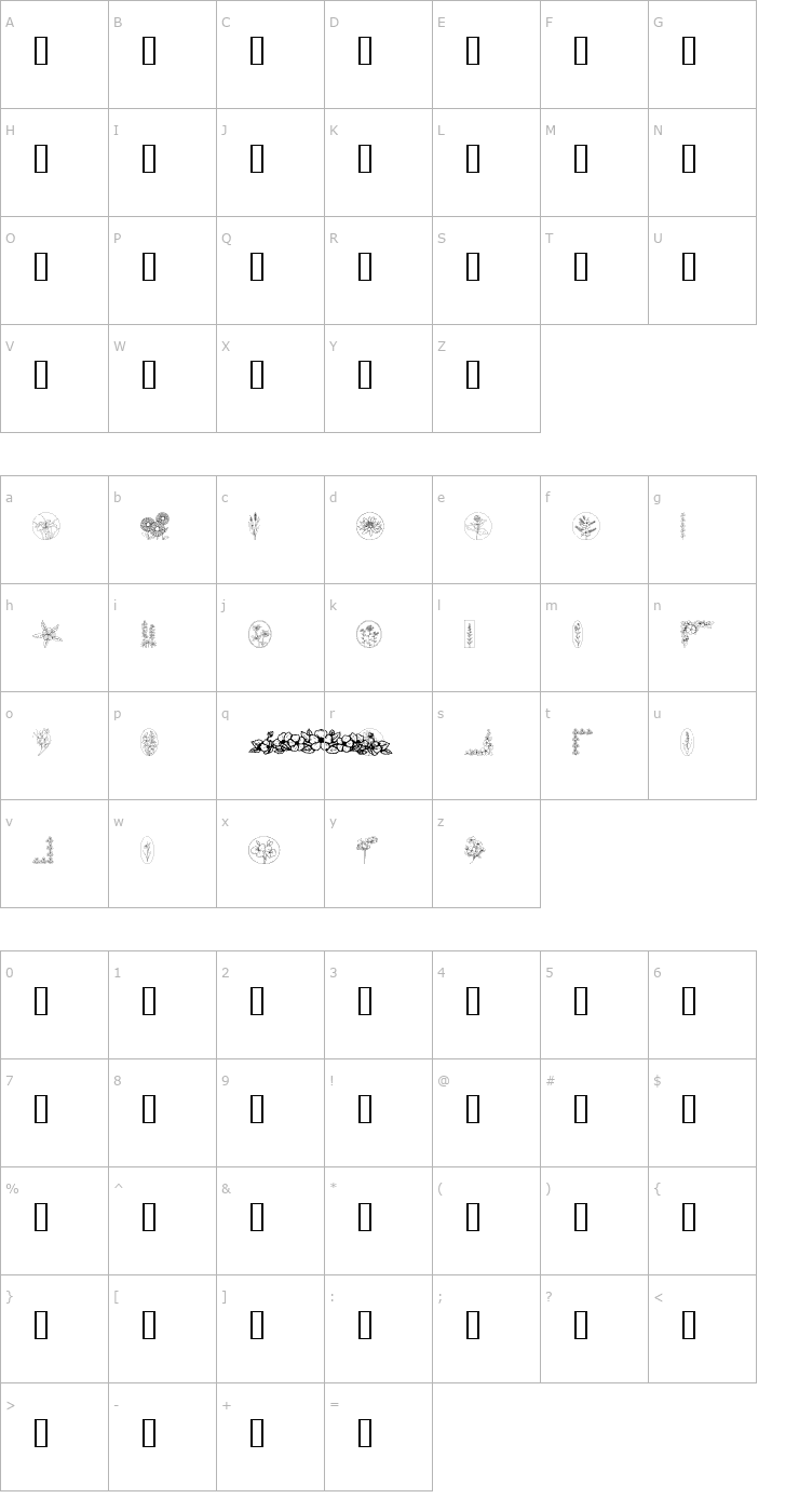 Character Map Wildflower Font