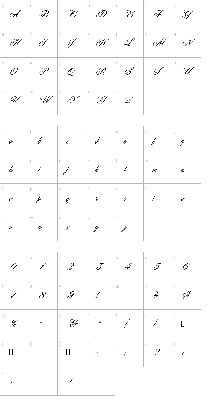 Character Map York Script ES Font