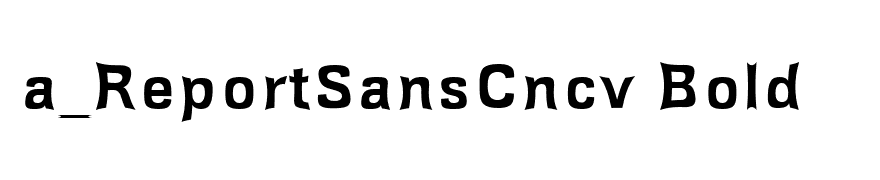 a_ReportSansCncv Bold