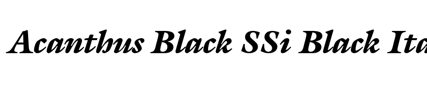 Acanthus Black SSi Black Italic