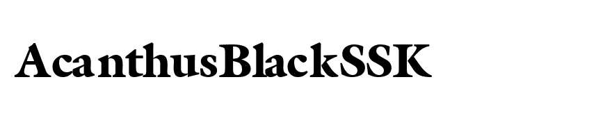 AcanthusBlackSSK