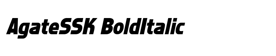 AgateSSK BoldItalic