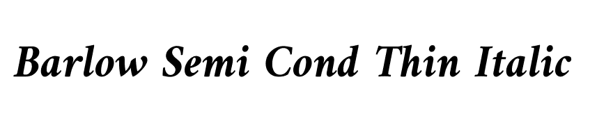 Amiri Bold Italic
