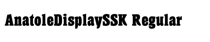 AnatoleDisplaySSK Regular