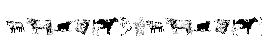 AnimalsAnimalsBovine