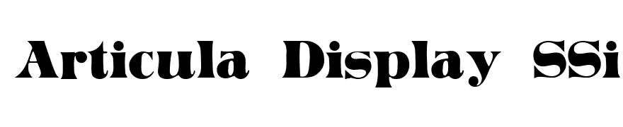 Articula Display SSi