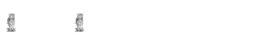 Baby's BreathRegular