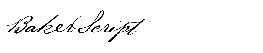 BakerScript
