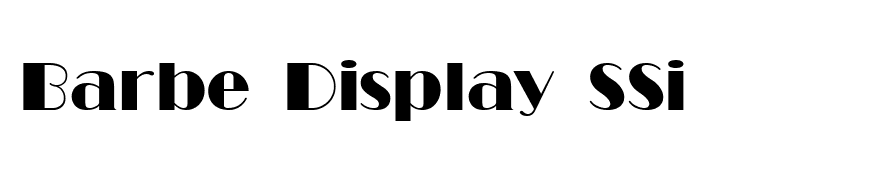 Barbe Display SSi