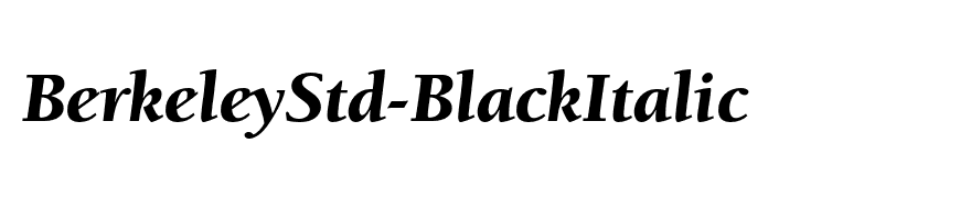 BerkeleyStd-BlackItalic