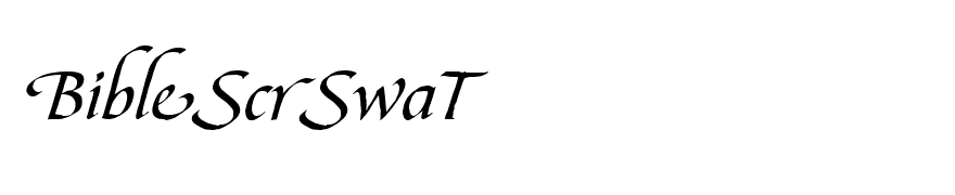 BibleScrSwaT
