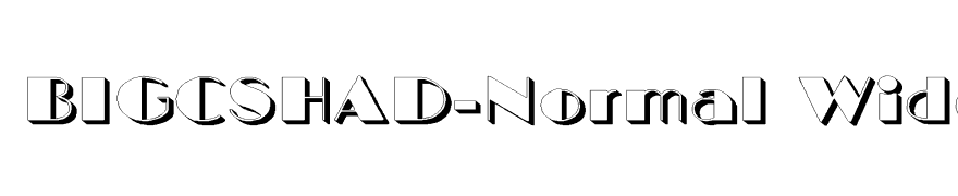 BIGCSHAD-Normal Wide