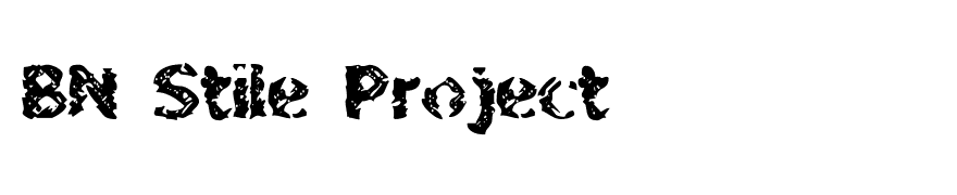 BN Stile Project