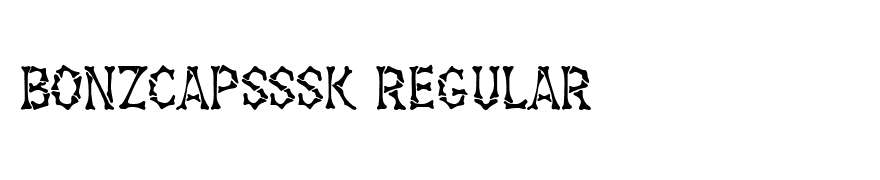 BonzCapsSSK Regular
