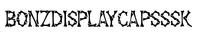 BonzDisplayCapsSSK