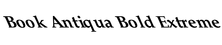 Book Antiqua Bold Extreme Lefty