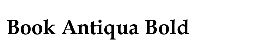 Book Antiqua Bold