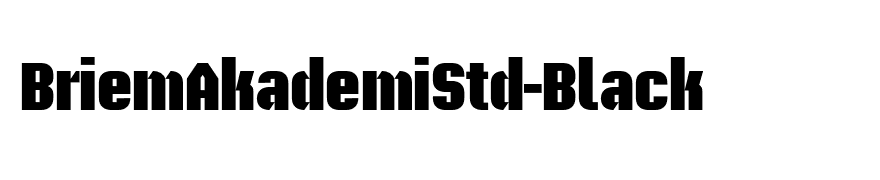 BriemAkademiStd-Black