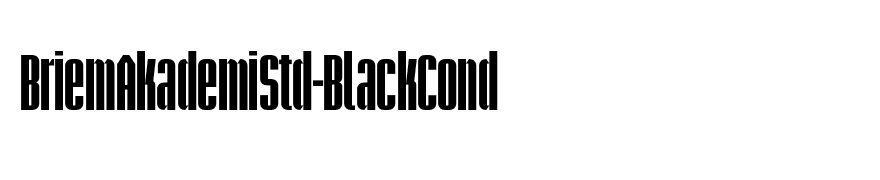BriemAkademiStd-BlackCond