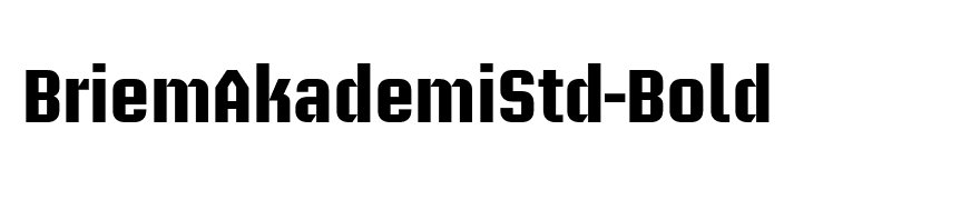 BriemAkademiStd-Bold