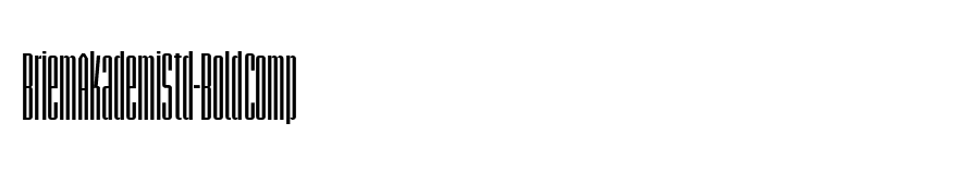 BriemAkademiStd-BoldComp