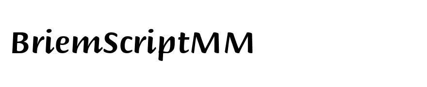 BriemScriptMM