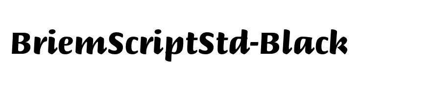 BriemScriptStd-Black