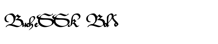 BucheSSK Bold