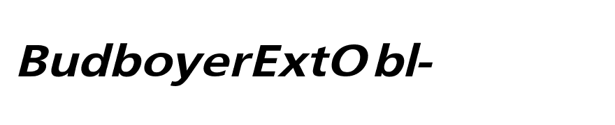 BudboyerExtObl-